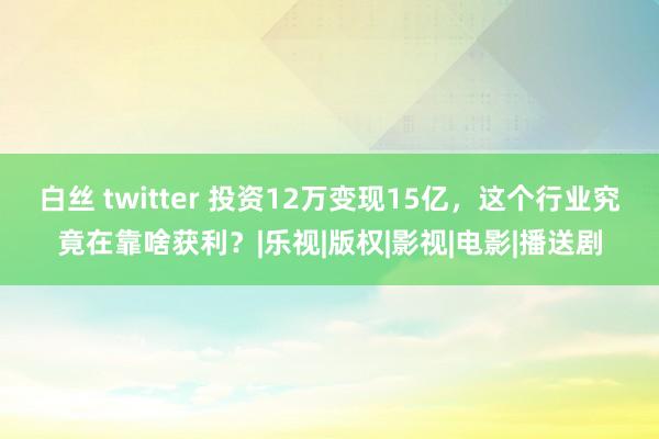 白丝 twitter 投资12万变现15亿，这个行业究竟在靠啥获利？|乐视|版权|影视|电影|播送剧