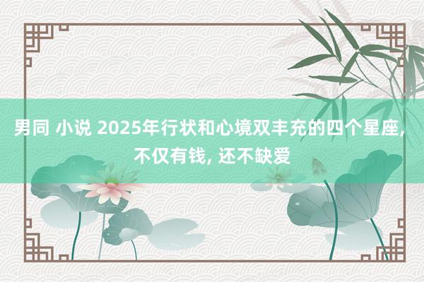 男同 小说 2025年行状和心境双丰充的四个星座， 不仅有钱， 还不缺爱