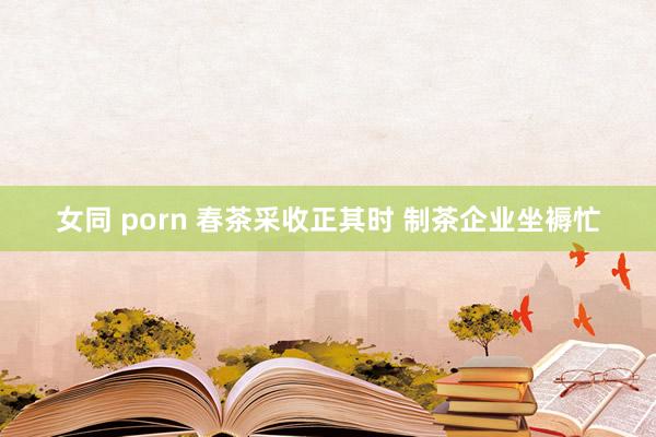 女同 porn 春茶采收正其时 制茶企业坐褥忙