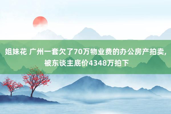 姐妹花 广州一套欠了70万物业费的办公房产拍卖， 被东谈主底价4348万拍下