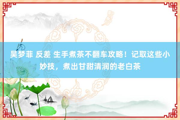 吴梦菲 反差 生手煮茶不翻车攻略！记取这些小妙技，煮出甘甜清润的老白茶