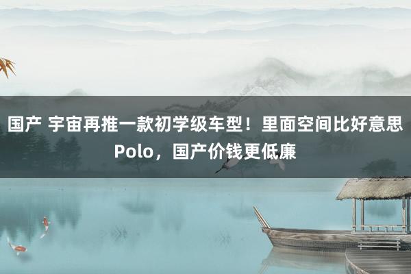 国产 宇宙再推一款初学级车型！里面空间比好意思Polo，国产价钱更低廉