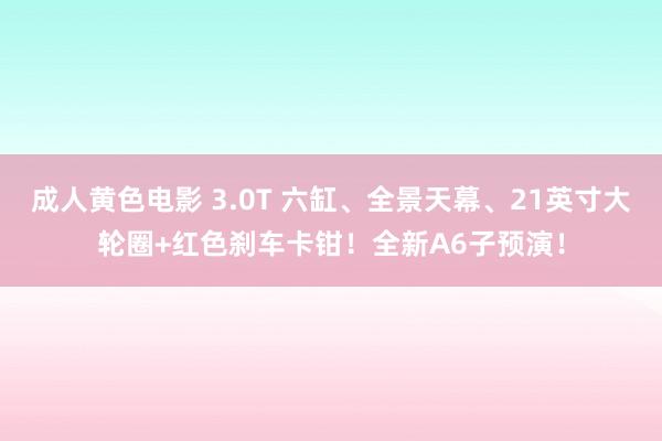 成人黄色电影 3.0T 六缸、全景天幕、21英寸大轮圈+红色刹车卡钳！全新A6子预演！