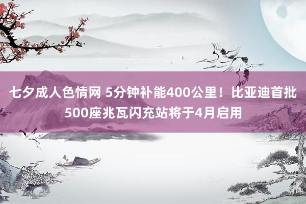 七夕成人色情网 5分钟补能400公里！比亚迪首批500座兆瓦闪充站将于4月启用